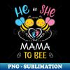 EX-20231106-6863_Gender Reveal He Or She Mama To Bee Matching Family Baby Party 1328.jpg