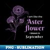 DD-20231107-761_aster flower September babies 3290.jpg