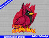 arizona cardinals 01.jpg