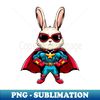 AA-20231109-24337_Superbunny 1681.jpg