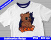 chicago bears 03.jpg