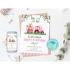 MR-1111202393837-editable-farm-birthday-invitation-pink-farm-animals-birthday-image-1.jpg