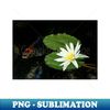 LD-20231112-18968_Meditation Wall Art Print - Water Lily and fish Meditation - canvas Photo print artboard print poster Canvas Print 2003.jpg