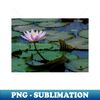 RQ-20231112-18969_Meditation Wall Art Print - Water Lily Meditation - canvas Photo print artboard print poster Canvas Print 2884.jpg