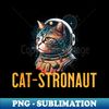 ST-20231112-5213_Cat-stronaute 7324.jpg