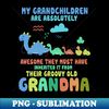 CN-20231113-22651_My Grandchildren Are Awesome From Groovy Grandma Dinosaur 8735.jpg