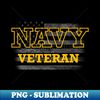 VQ-20231113-23004_Navy Veteran and American Flag Backdrop Design 8644.jpg