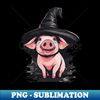 HC-20231114-16502_Pig in a witch hat halloween piggy 2130.jpg