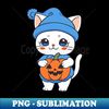 IH-20231114-22639_White Cat in a Blue Hat Holding a Pumpkin Cat Halloween 1696.jpg