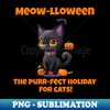 JC-20231114-12282_Meow-lloween The purr-fect holiday for cats 9889.jpg