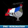 DA-20231115-17136_Pigeon of France Greeting 6080.jpg