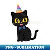 GD-20231115-2619_Black Cat with Party Hat 9218.jpg