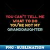 MF-20231115-25244_You Cant Tell Me What To Do Youre Not My Granddaughter Funny Vintage Retro Sunset 2752.jpg