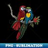 MJ-20231115-2148_Beautiful set of macaw parrot birds 4128.jpg