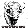 buffalo 1.jpg