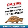 RR-20231115-2662_Caution Coddiwompler In Training With Tortoise Art 7785.jpg