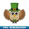 BU-20231117-8966_Cute St Patricks Day Owl Cartoon 5275.jpg