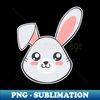 IA-20231117-8522_Cute Easter Bunny Face Graphic 3106.jpg