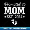 GI-20231118-34645_Promoted To Mom 2024 For Pregnancy Baby Announcement 2024  0464.jpg