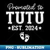 SS-20231118-34696_Promoted To Tutu 2024 For Pregnancy Baby Announcement 2024  0515.jpg