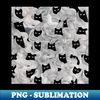 MM-20231119-5050_Black and White Liquid Cats Pattern 8828.jpg