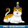 QU-20231119-14162_Cat Party Party hat 2050.jpg