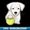 UZ-20231119-23359_Dog puppy Tennis Tennis ball 2656.jpg