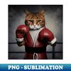 VJ-1207_angry cat boxing 7723.jpg