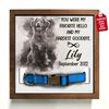 dog collars, pet memorial gift, dog memorial gifts, pet condolence gifts, cat memorial gifts, pet bereavement gifts, dog loss gift, pet loss gift, cat loss gift