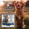 dog collars, pet memorial gift, dog memorial gifts, pet condolence gifts, cat memorial gifts, pet bereavement gifts, dog loss gift, pet loss gift, cat loss gift