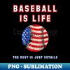 NI-1454_Baseball Is Life The Rest Is Just Details USA Flag 0065.jpg