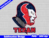 houston texans 01.jpg