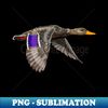 NN-6322_Mallard duck hen 4251.jpg