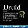 IE-6898_DD Druid Class Definition 6347.jpg