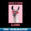 AI-19342_Llama Make It Rain 5872.jpg