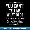 CD-58996_You cant tell me what to do Youre not my granddaughter grandkids grandchildren 9376.jpg