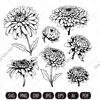 chrysanthemums set.jpg