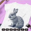 bunny imv.jpg