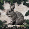 bunny wall art.jpg