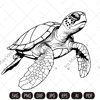 sea turtle imv.jpg