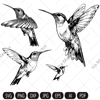 hummingbirds imv.jpg