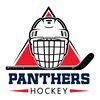 Panthers-Hockey-Helmet-NHL-Svg-Digital-Download-2705242011.png