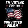 Im-Voting-For-The-Convicted-Felon-USA-Flag-SVG-0506241024.png