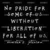 No-Pride-for-Some-Of-Us-Without-Liberation-For-All-1006241063.png