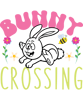 Bunny crossing-01.png