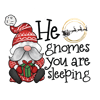 He Gnomes You Are Sleeping-01.png