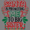 Santa-is-promoting-me-to-Big-Sister.-Christmas-big-sister.-2062408.png