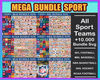 MEGA_BUNDLE_.jpg