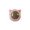 DRs5Catnip-Wall-Ball-Cat-Toys-Pet-Toys-For-Cats-Clean-Mouth-Promote-Digestion-Kittens-Mint-Licking.jpg