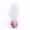 fr9TCat-toy-Ball-Feather-Funny-Cat-Toy-Star-Ball-Plus-Feather-Foam-Ball-Throwing-Toys-Interactive.jpg